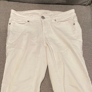 LOFT Women's Straight Leg Cream Jeans